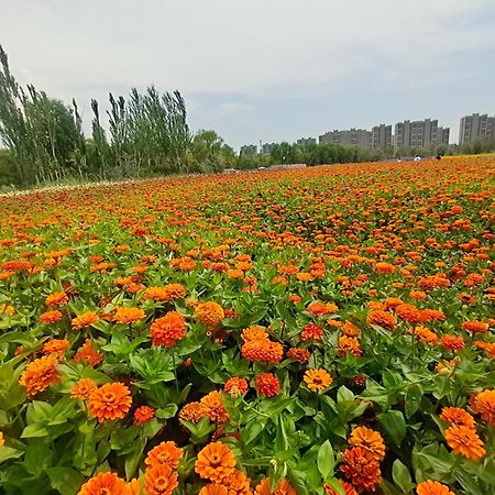 Primus Hotel אינצ'ואן מראה חיצוני תמונה